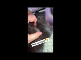 video by is overheard chukotka / anadyr