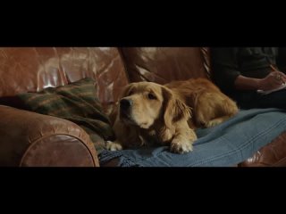 atlanna paset sovoy somou   akvamen 2019 momence iz filma