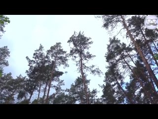 day darkov dly pashi i 10 000 000  subscribers