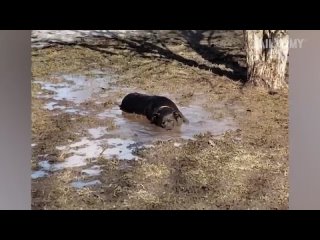 world s messiest fails instant regret