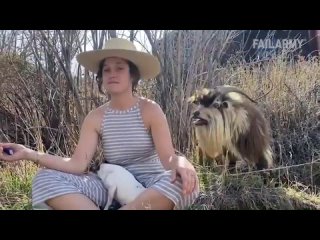 best scary fails pranks and close calls
