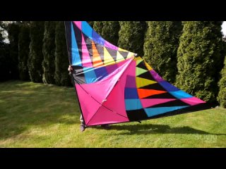 how far an air snake can fly up