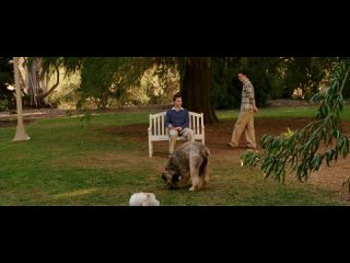 stifler i shokomobny tryufel    american pirog 3  svadba 2003