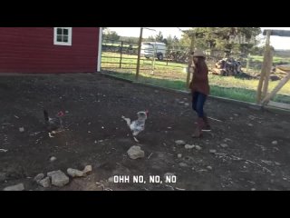 funny reactions and moments