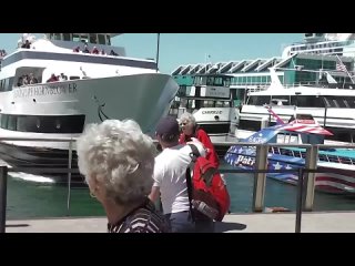 idiots on water try not to laugh