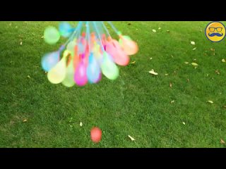 9  -year -old antistress dly i -medveda valers