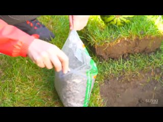how to keep arbuz k nom goda  experiment  second