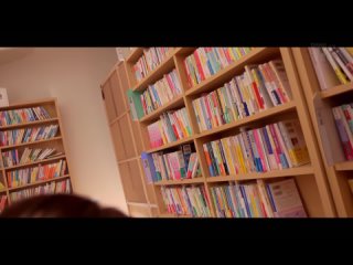 sk - mide-255c 4k