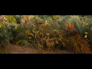 farewell s fool film  hizhina 2017