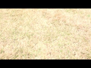 ppmnb-020