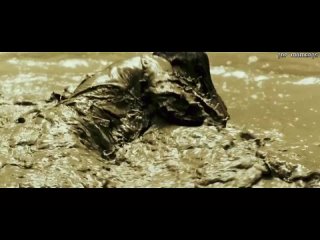 your  life sitates toloko ot tybi yong ong bak 22008